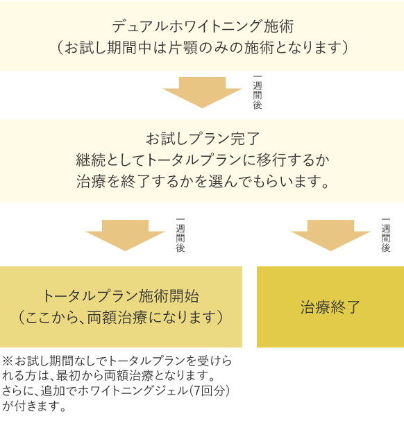 お試しプランの流れ